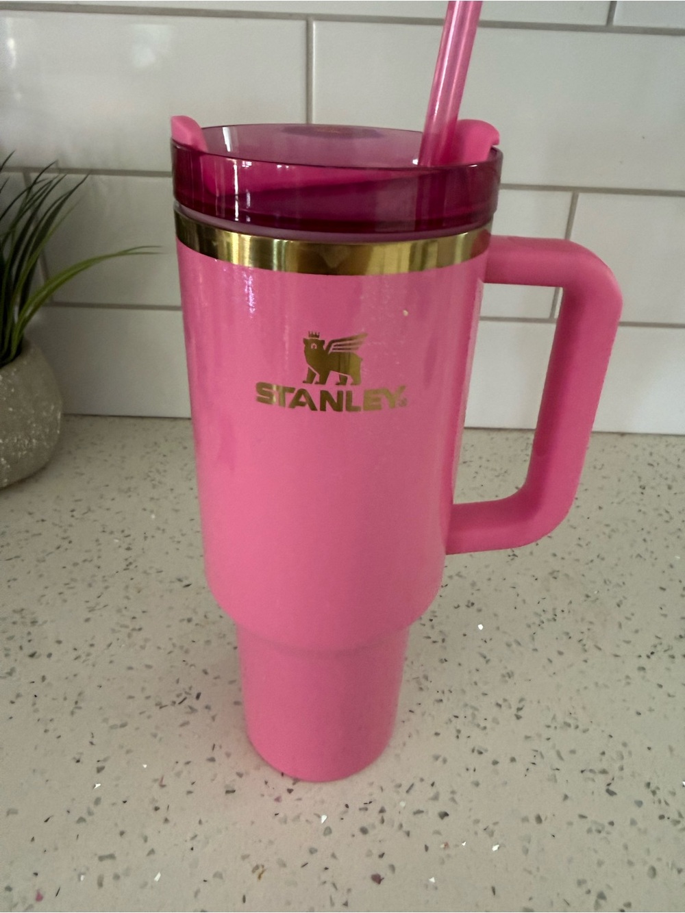 Stanley Cup Wicked Pink